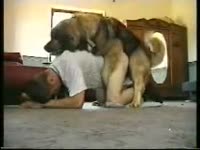 Animal xxx video with a gay on the floor